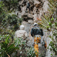 CURSO DE ESCALADA BASICO